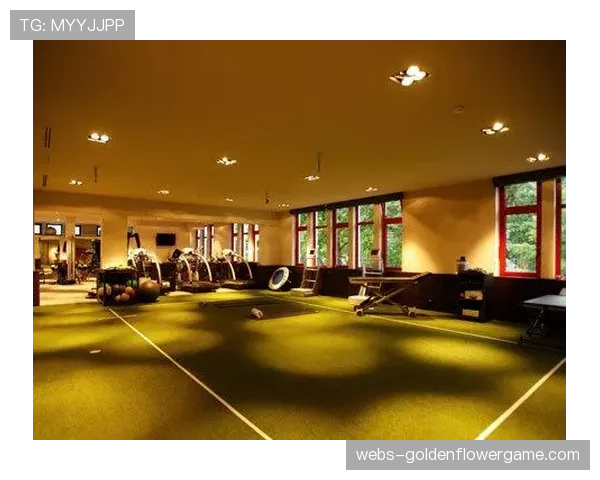 拜仁推进塞贝纳大街训练基地现代化改造，配备高标准遮挡设施